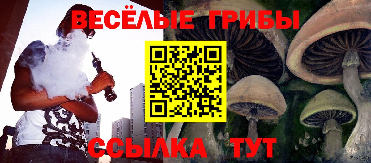 Псилоцибиновые грибы Psilocybine cubensis  Вход с VPN  Псилоцибиновые грибы Cubensis  Топки 